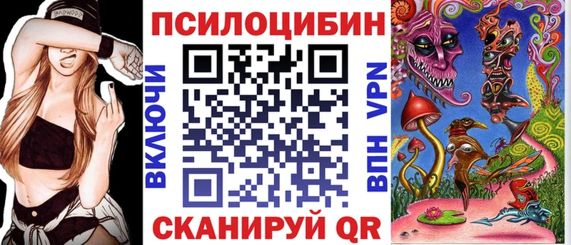 как найти   MEGA как войти  Галлюциногенные грибы Psilocybine cubensis  Красновишерск 